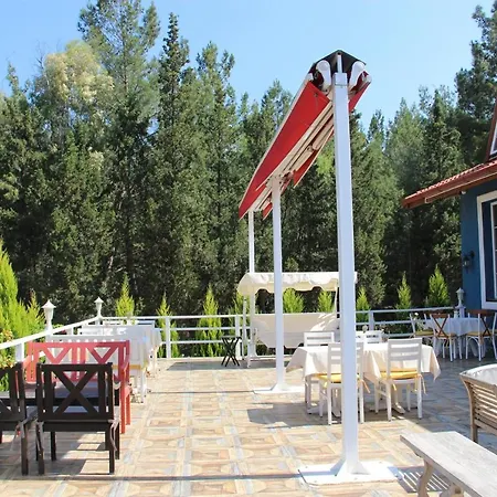 Alojamento de Acomodação e Pequeno-almoço Secluded Apart Surrounded By Nature In Kusadasi