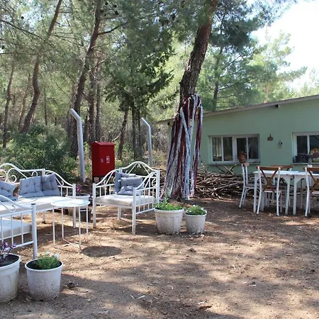 Alojamento de Acomodação e Pequeno-almoço Secluded Apart Surrounded By Nature In Kusadasi